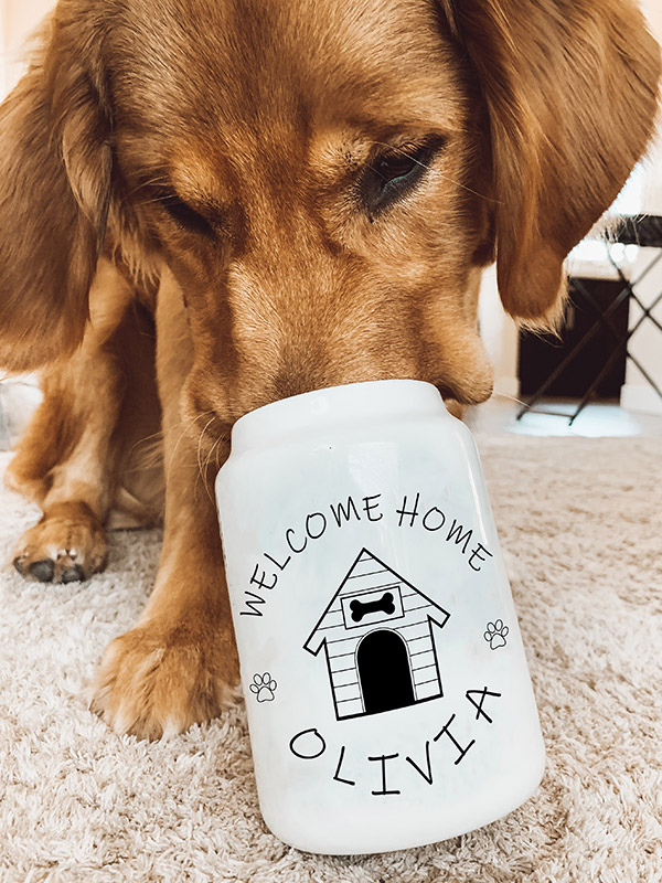 Dog Treat Jars